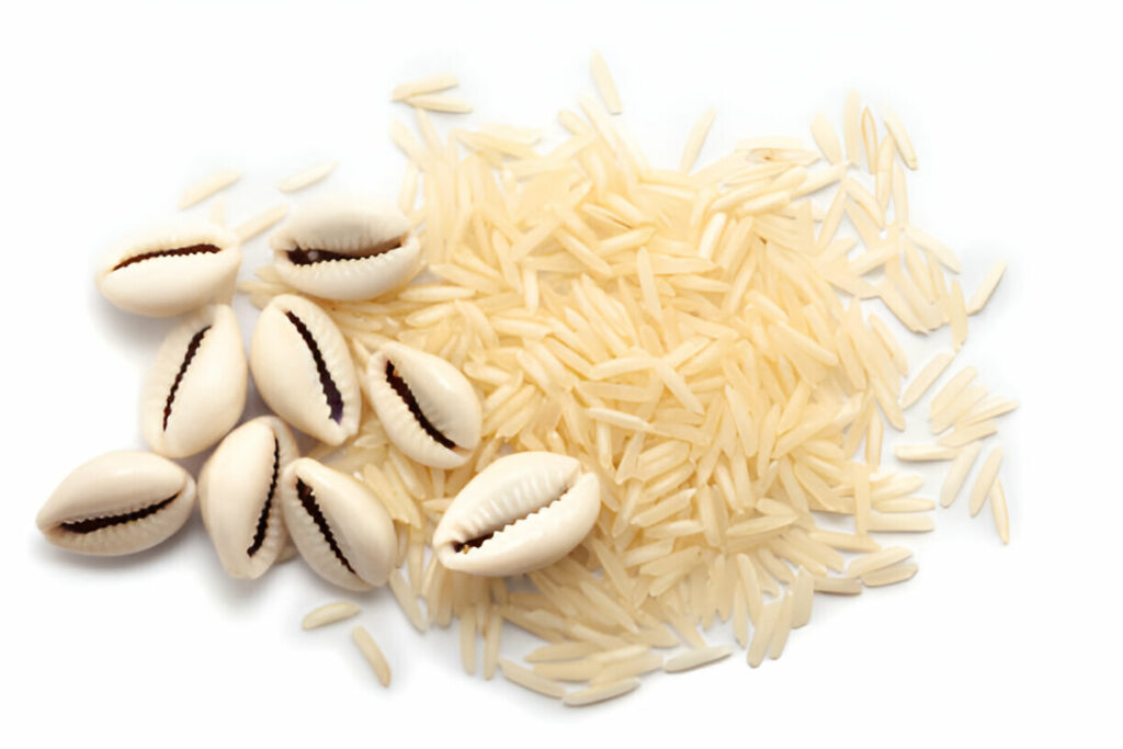 cauris en islam cowries in Islam Kauris im Islam