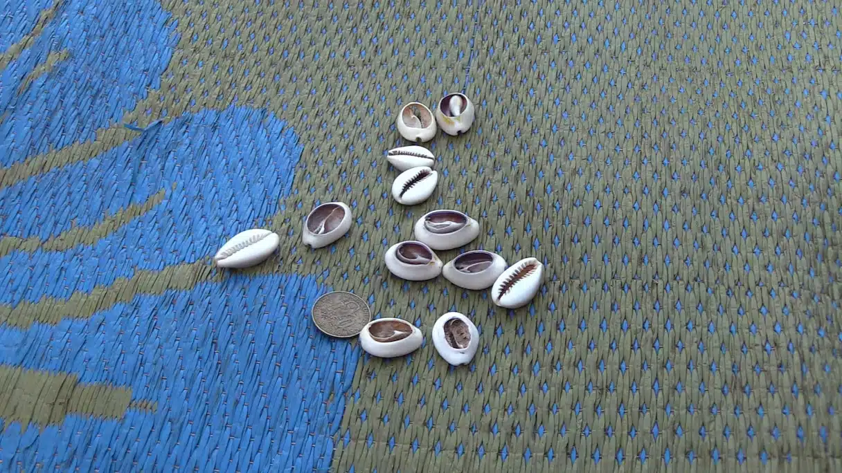 Lire les cauris Comment lancer les cauris